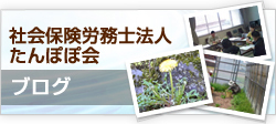 社会保険労務士たんぽぽ会ブログ